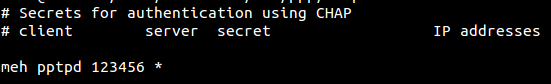 chap-secrets